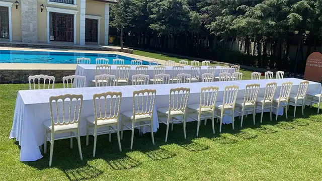 Napolyon Sandalye Kiralama Fiyatları | İstanbul Kiralık Napolyon Sandalye galeri fotoğrafı 3