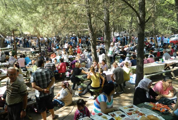 Piknik Organizasyonu görseli